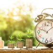 Een duurzame bank en bedrijfsrekening? Leer er meer over