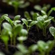 Duurzaamheid en geld: hoe kun je groen leven zonder meer uit te geven?