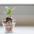 Budget tips voor beginners voor financiële gezondheid
